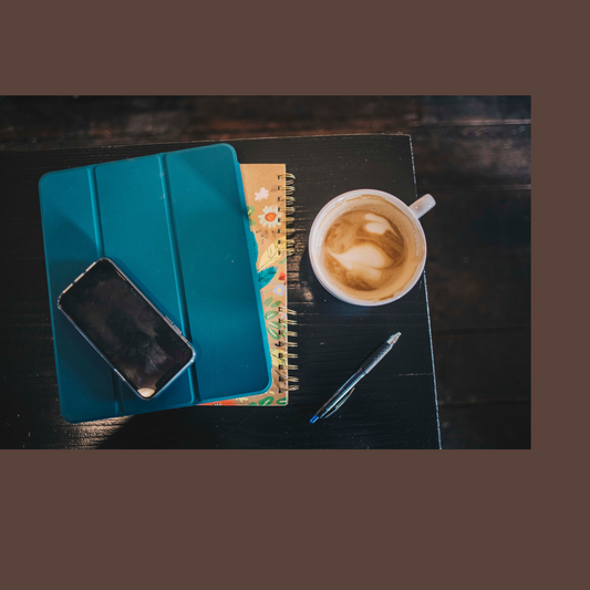 iPad & iPhone Next Steps